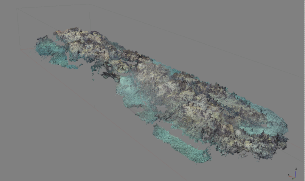 3D model reconstruction of a coral reef landscape from an angled perspective, showing textured topography and reef structure in blue-green hues.